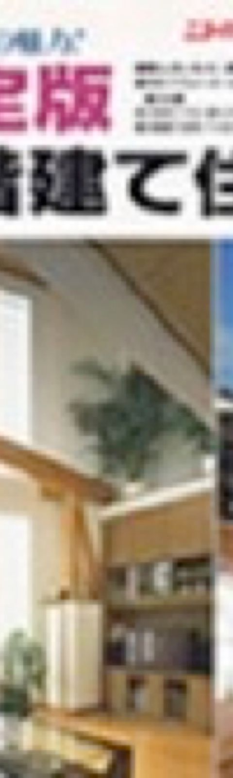 決定版 3階建て住宅